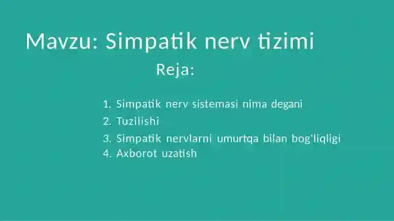 Simpatik nerv tizimi​ 2