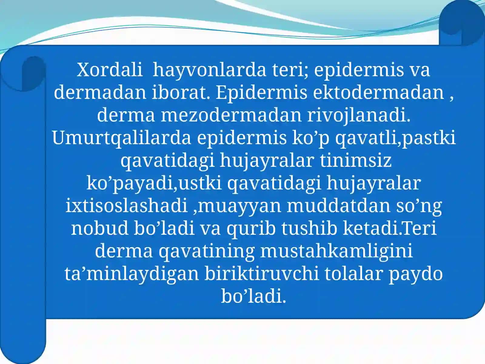 Hayvonlarning tanaqoplamivaharakatorganlari evolutsiyasi 2