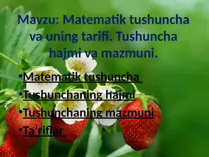 ZAHZOXON MAMAJONOVANING MATEMATIKA FANIDAN TAYYORLAGAN SLAYTI 2
