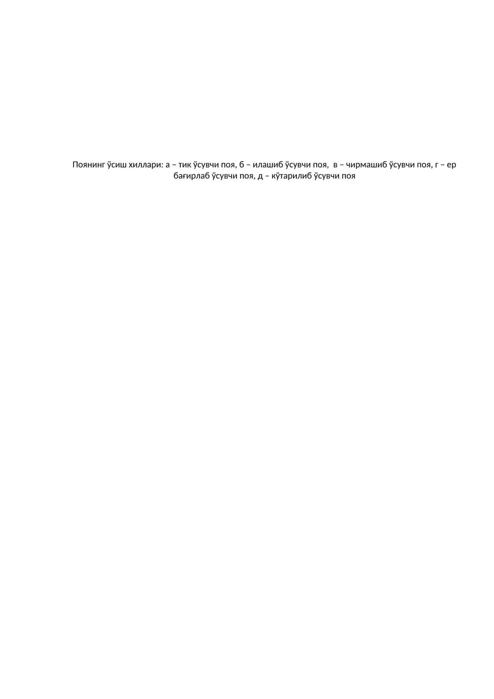 Поянинг хиллари 2
