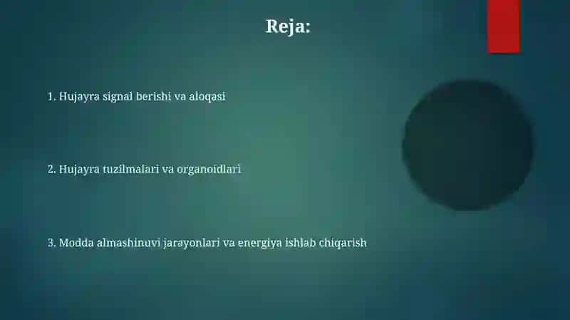 Tirik hujayralarning qiyosiy tahlili 2