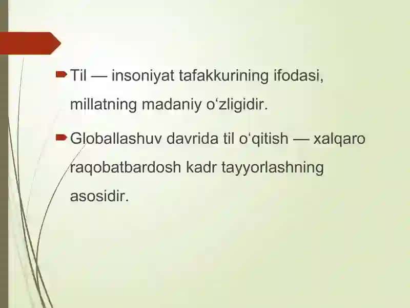 til ta'limi va xorij tajribasi 2