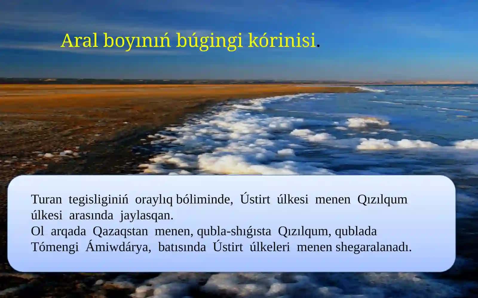 Aral tábiyiy geografiyalıq úlkesi 2