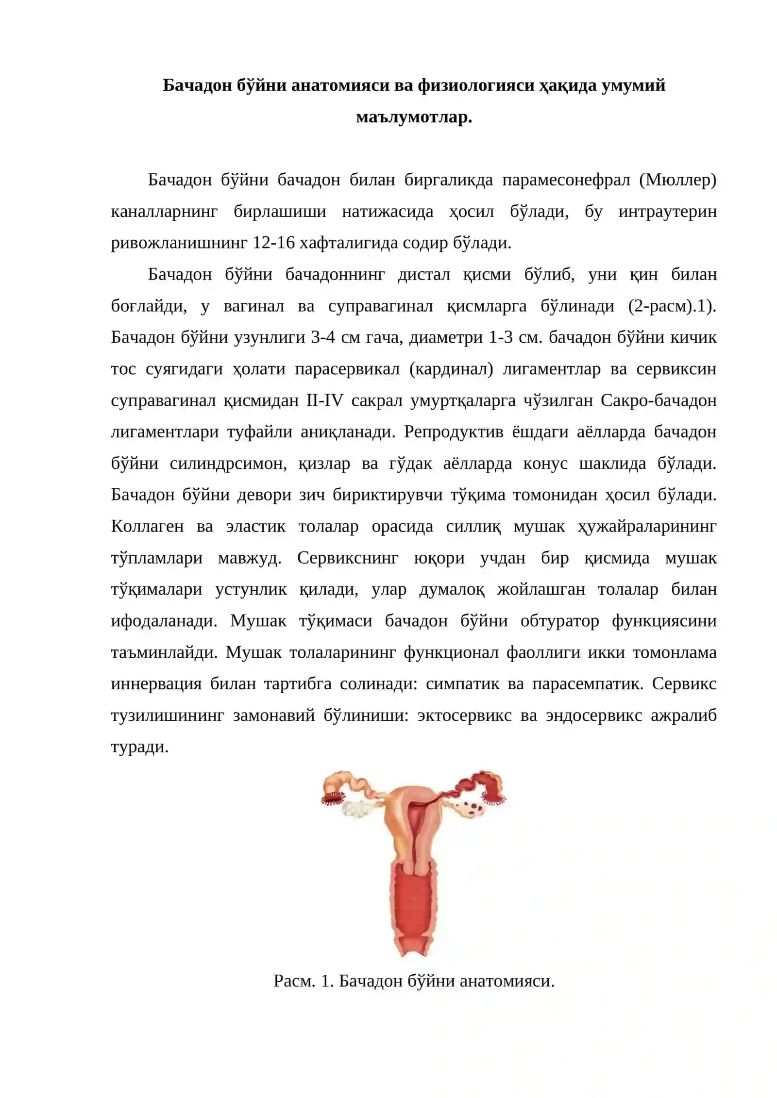 Бачадон бўйни анатомияси ва физиологияси 2