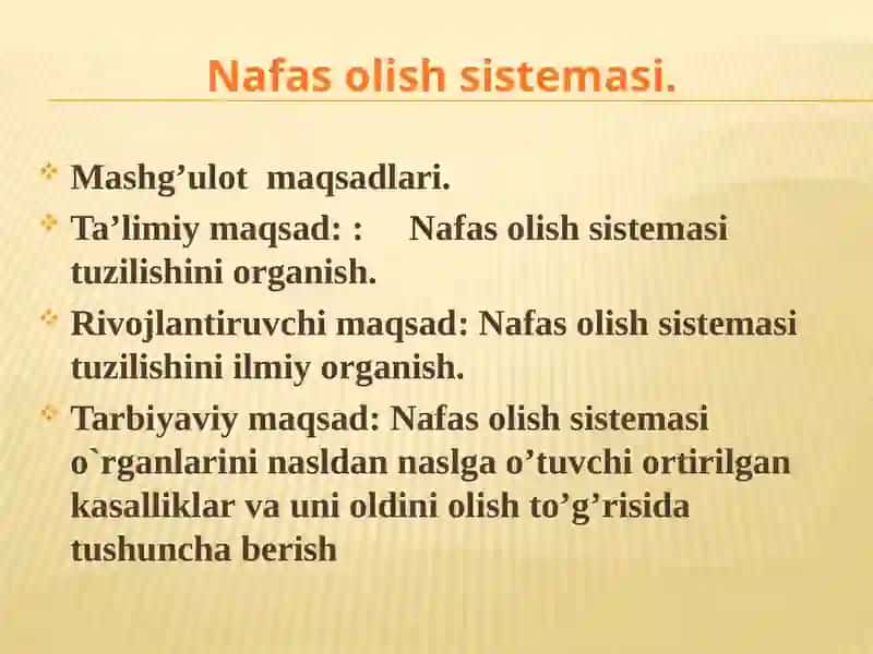 Nafas  olish  sistemasi 2