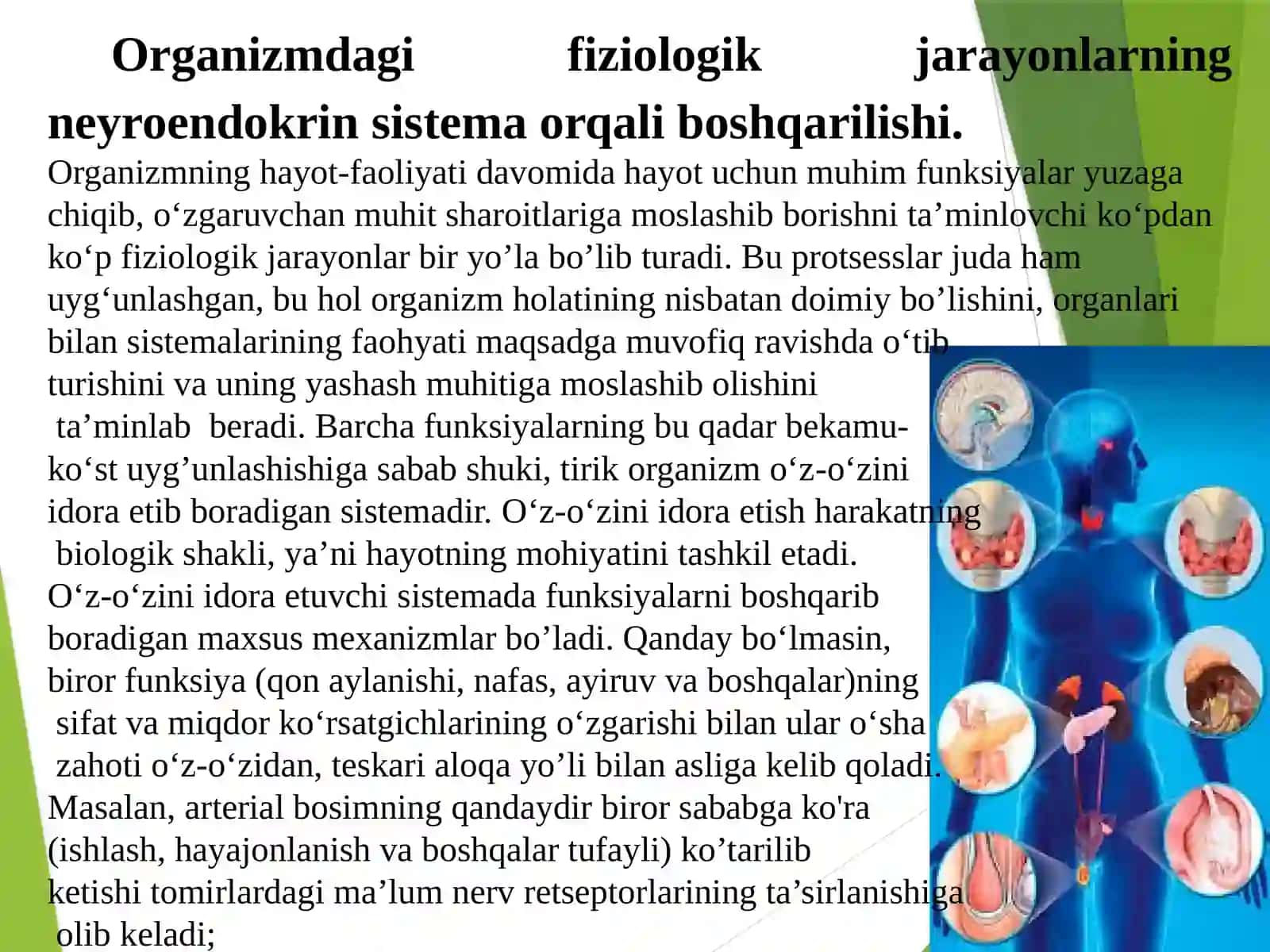 Ichki sekretsiya bezlari fiziologiyasi 2