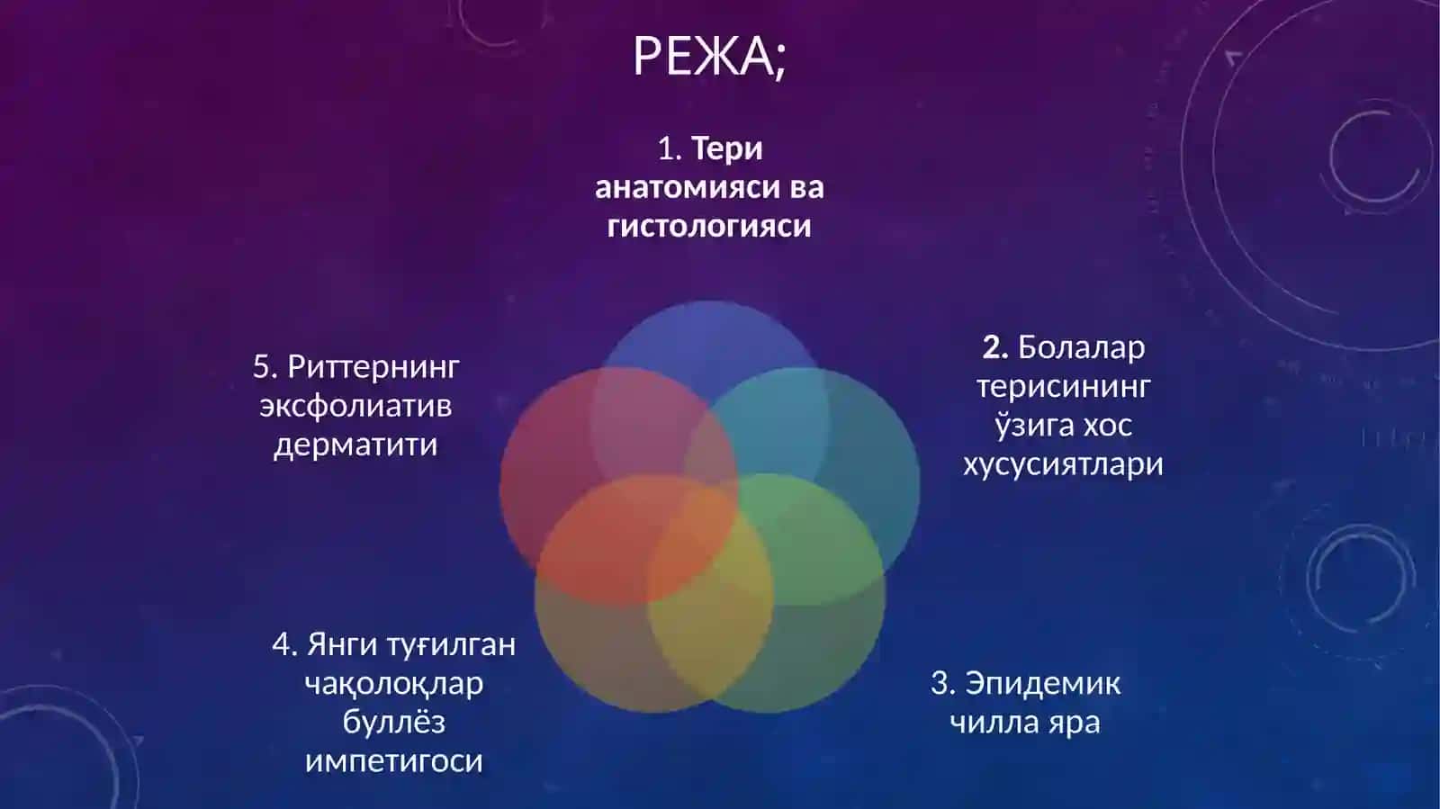 Teri anatomiyasi va gistologiyasi 2