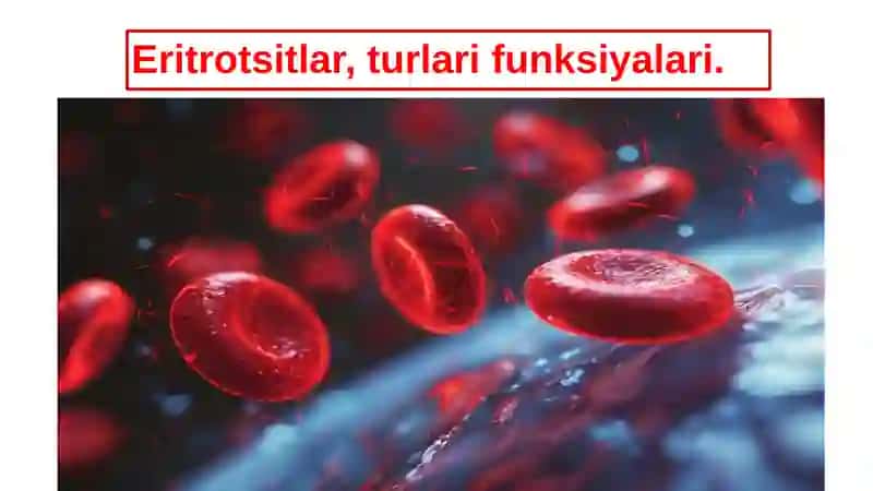 Eritrotsitlar Turlari 2