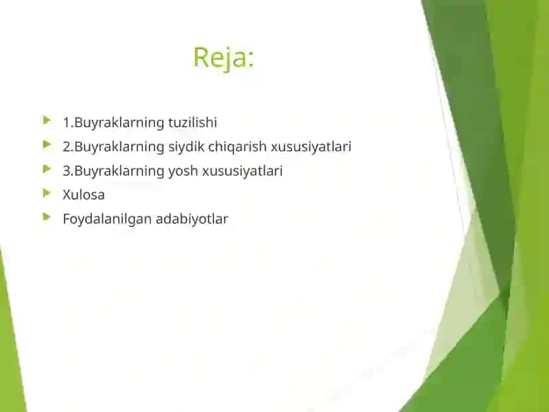 Buyraklarda siydik hosil bo'lishi va yosh xususiyatlari 2