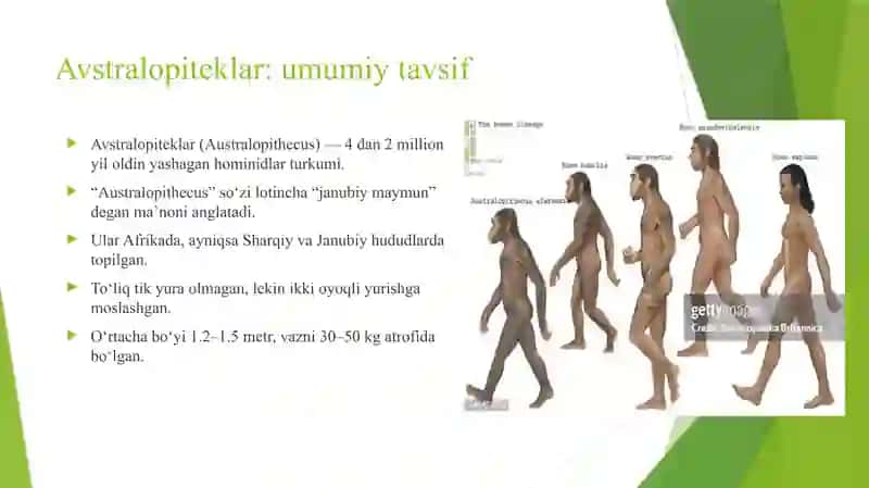 Inson evolutsiyasi 2
