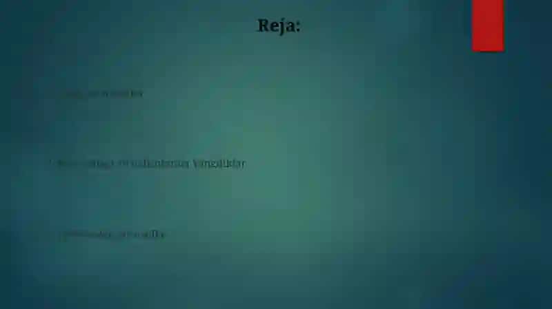 Endovaskulyar operatsiyalar 2