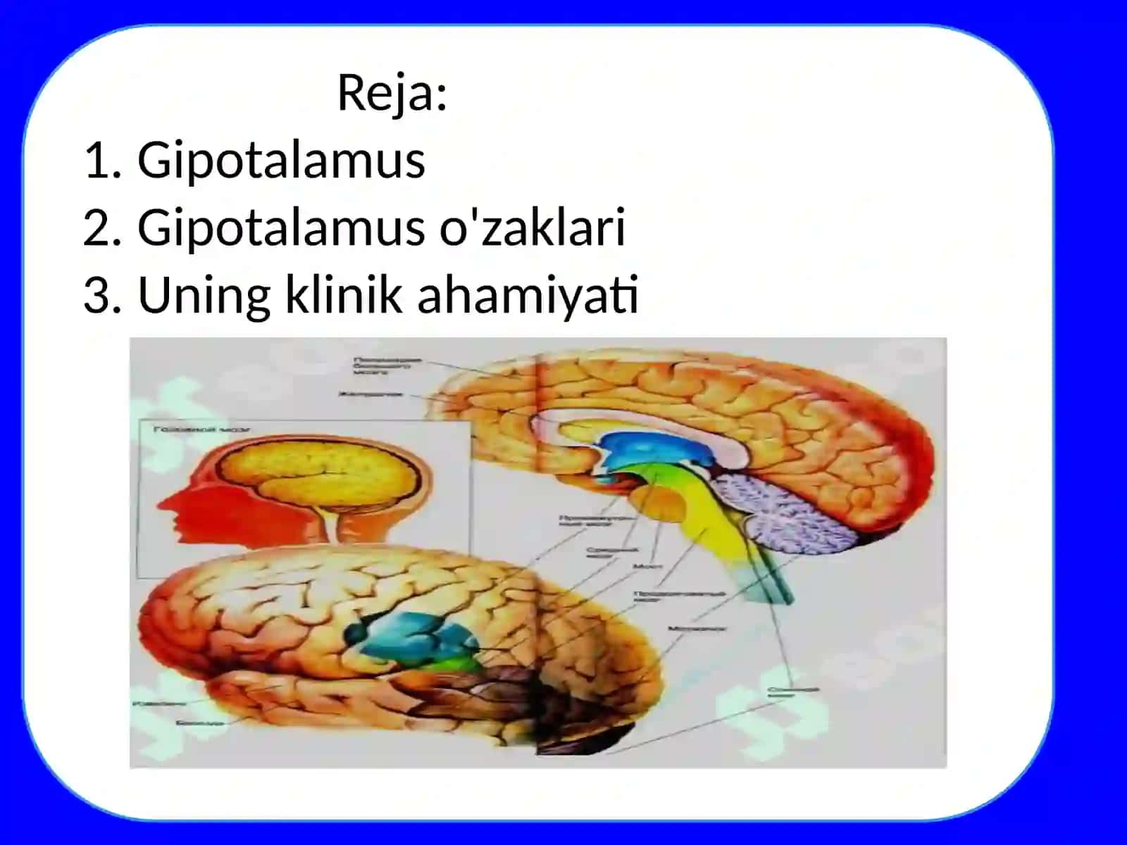 Gipotalamus o'zaklari va ularning klinik ahamiyati 2