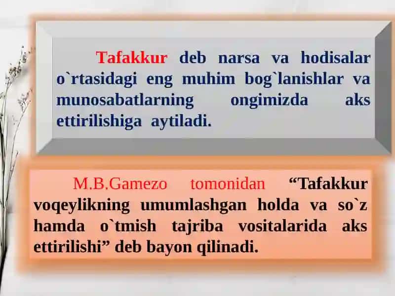Maktabgacha yoshdagi bolalarda tafakkur rivojlanishi va psixodiagnostikasi 2