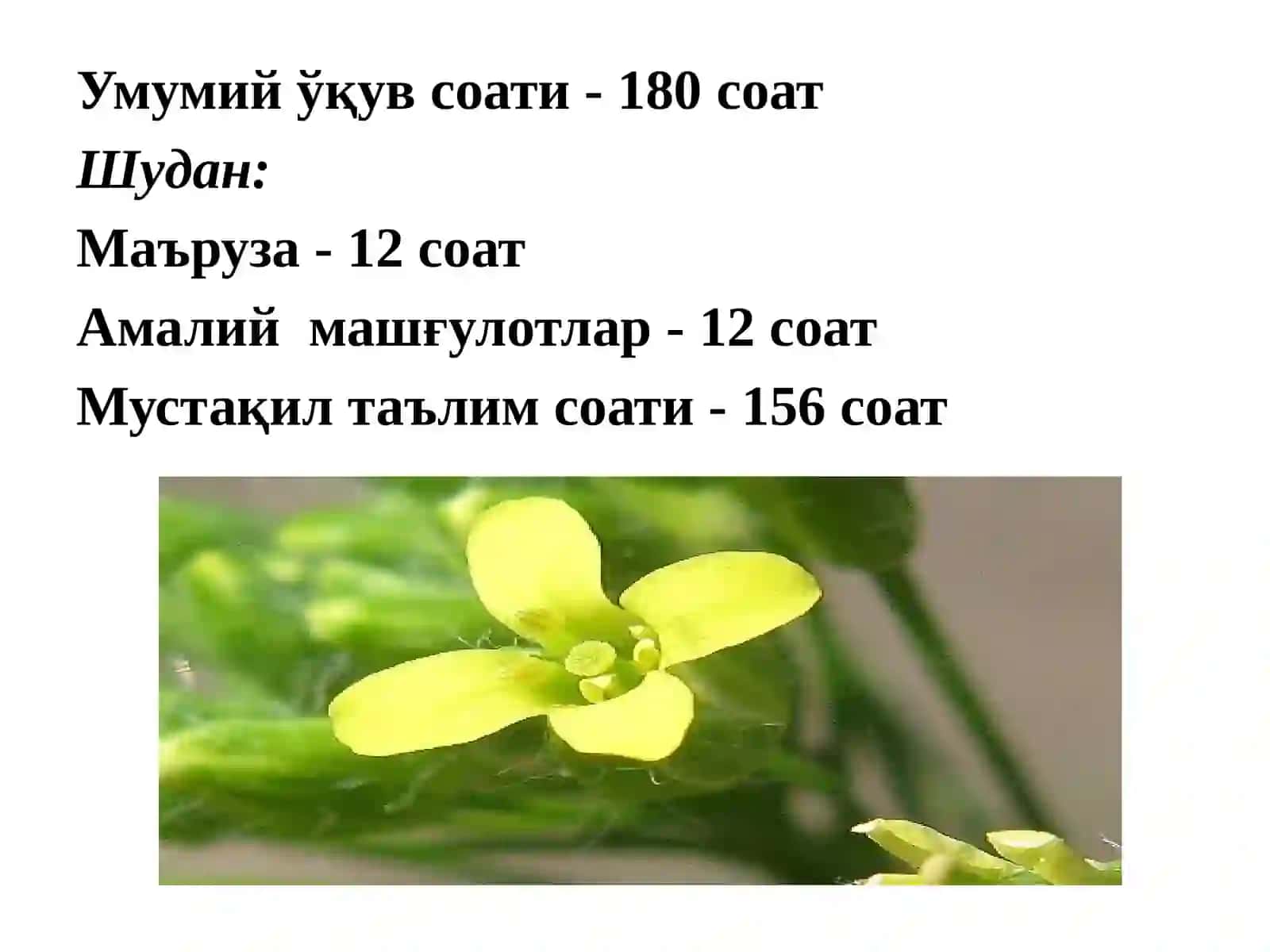 Фан: Мойли экинлар биологияси ва етиштириш технологияси 2