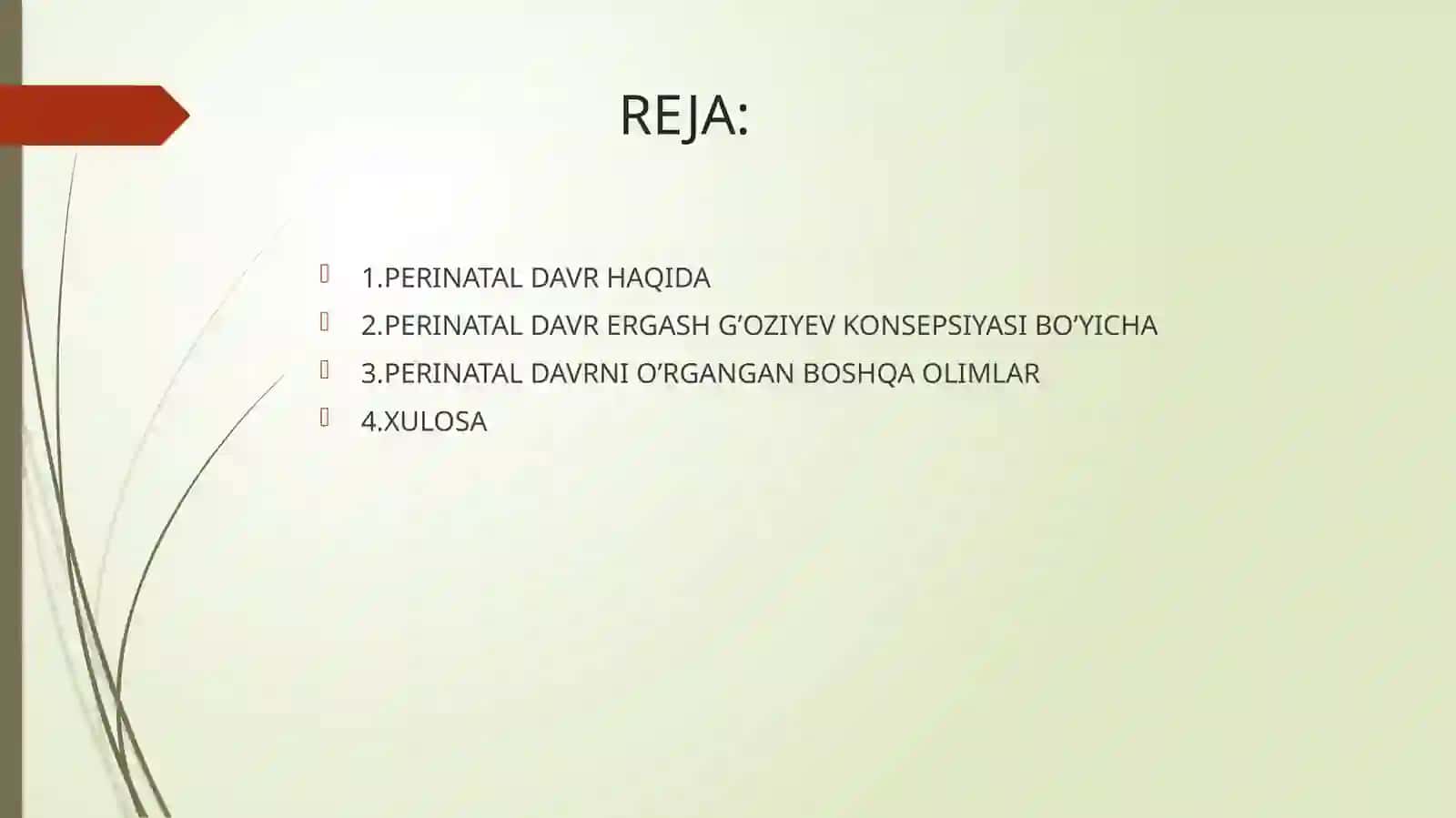 PERINATAL DAVR 2