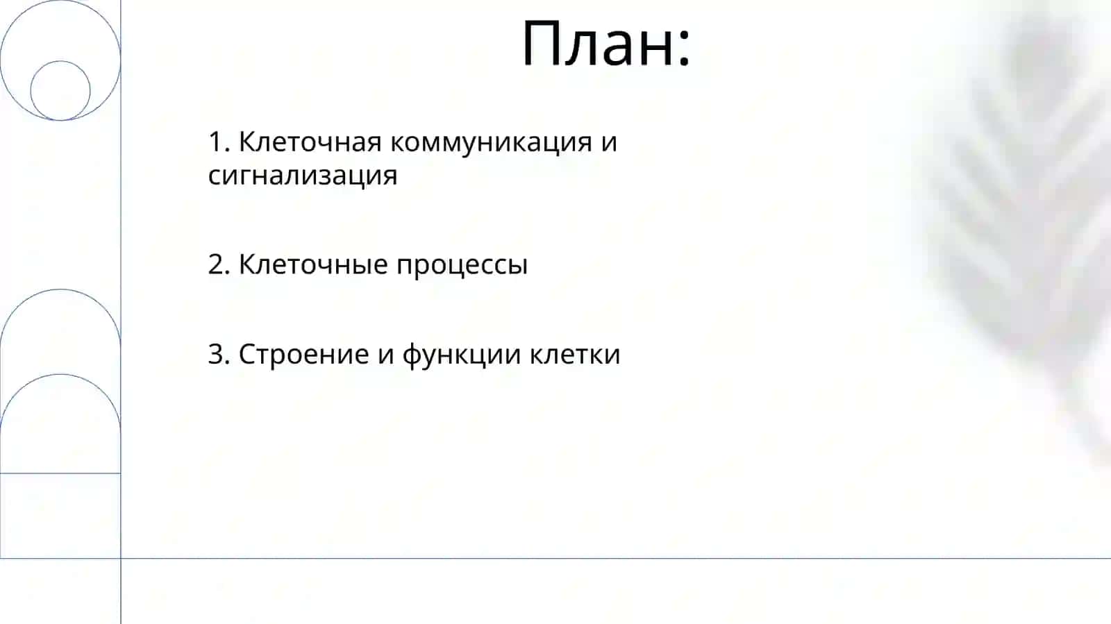 Клетка 2