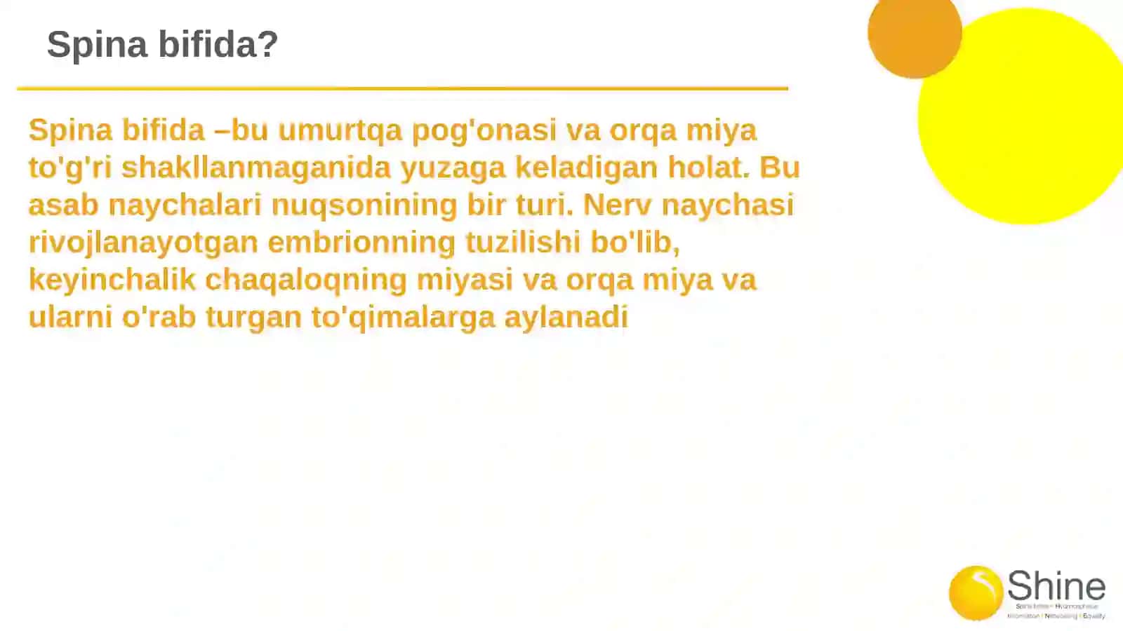 Spina bifida 2