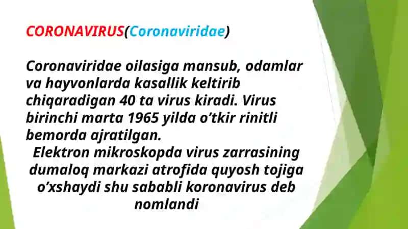 Koronavirus etiologiyasi, tasnifi, klinikasi va davolash 2