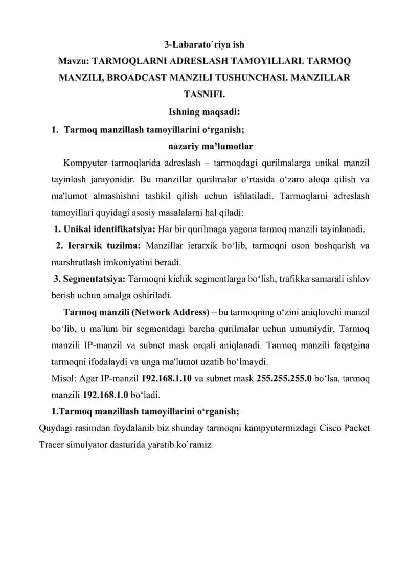 TARMOQLARNI ADRESLASH TAMOYILLARI mavzusi bo`yicha mustaqil ish 2