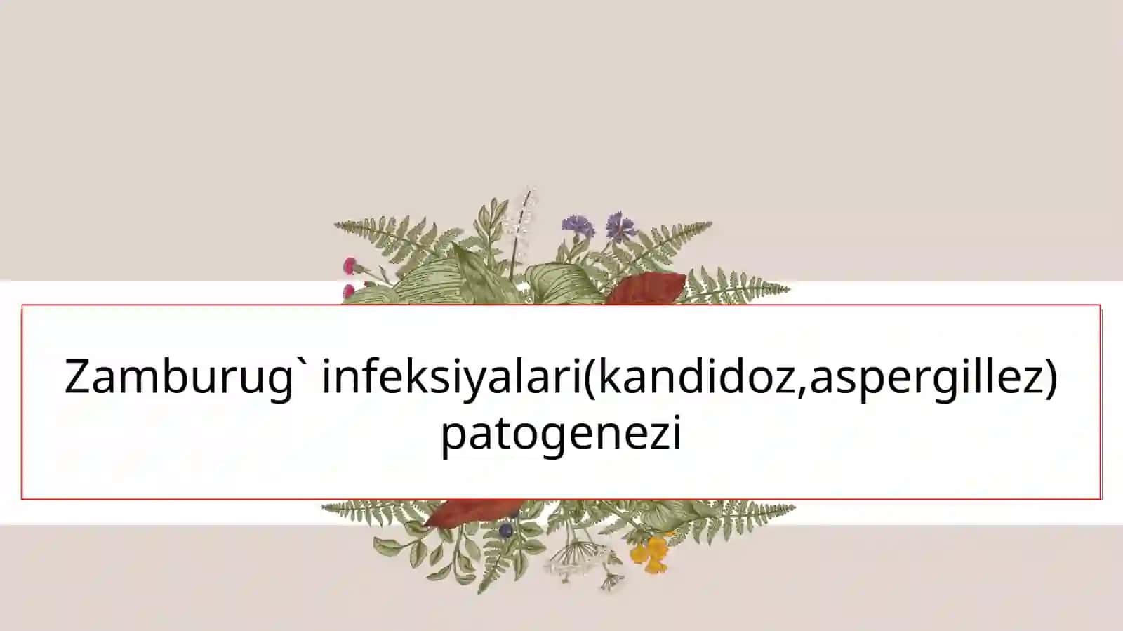 Zamburug‘ infeksiyalari patogenezi 2