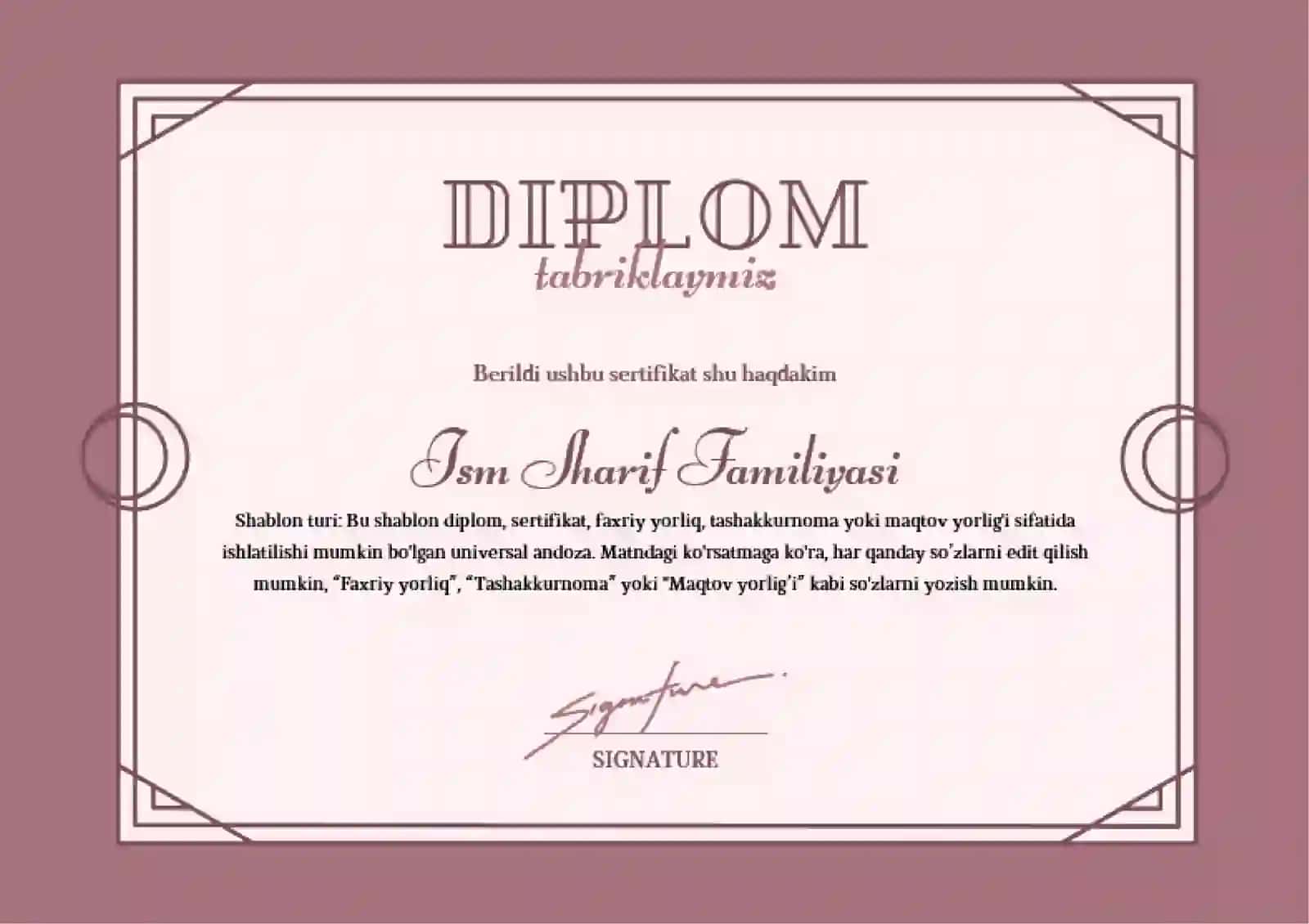 DIPLOM 2