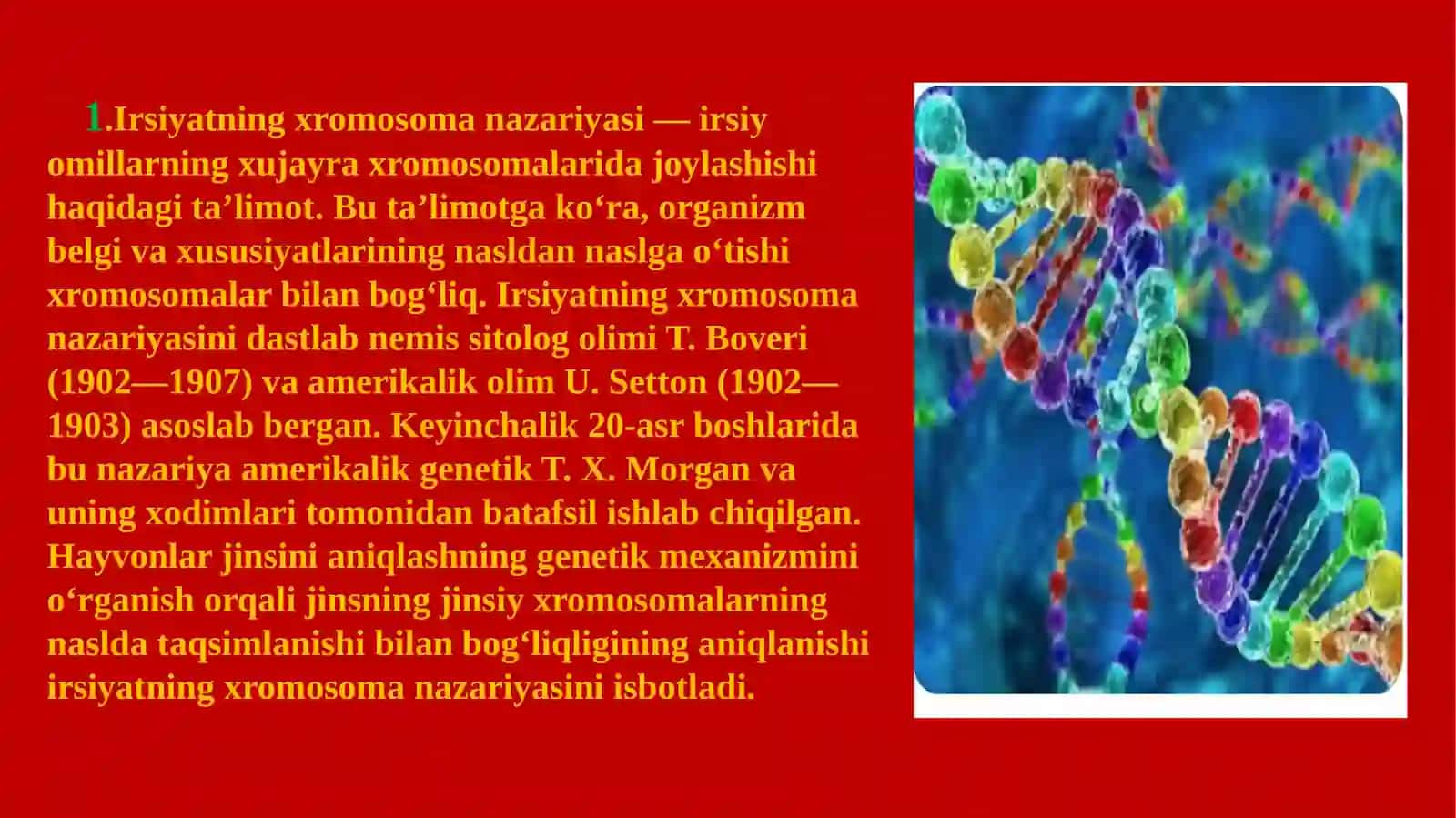 Irsiyatning xromosoma nazariyasi.T.G.Morgan 2