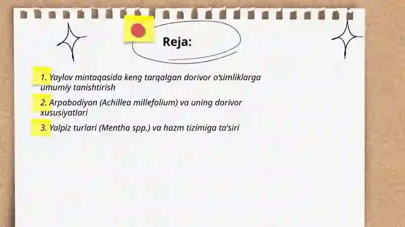 Yaylov mintaqasida keng tarqalgan dorivor o‘simliklar 2