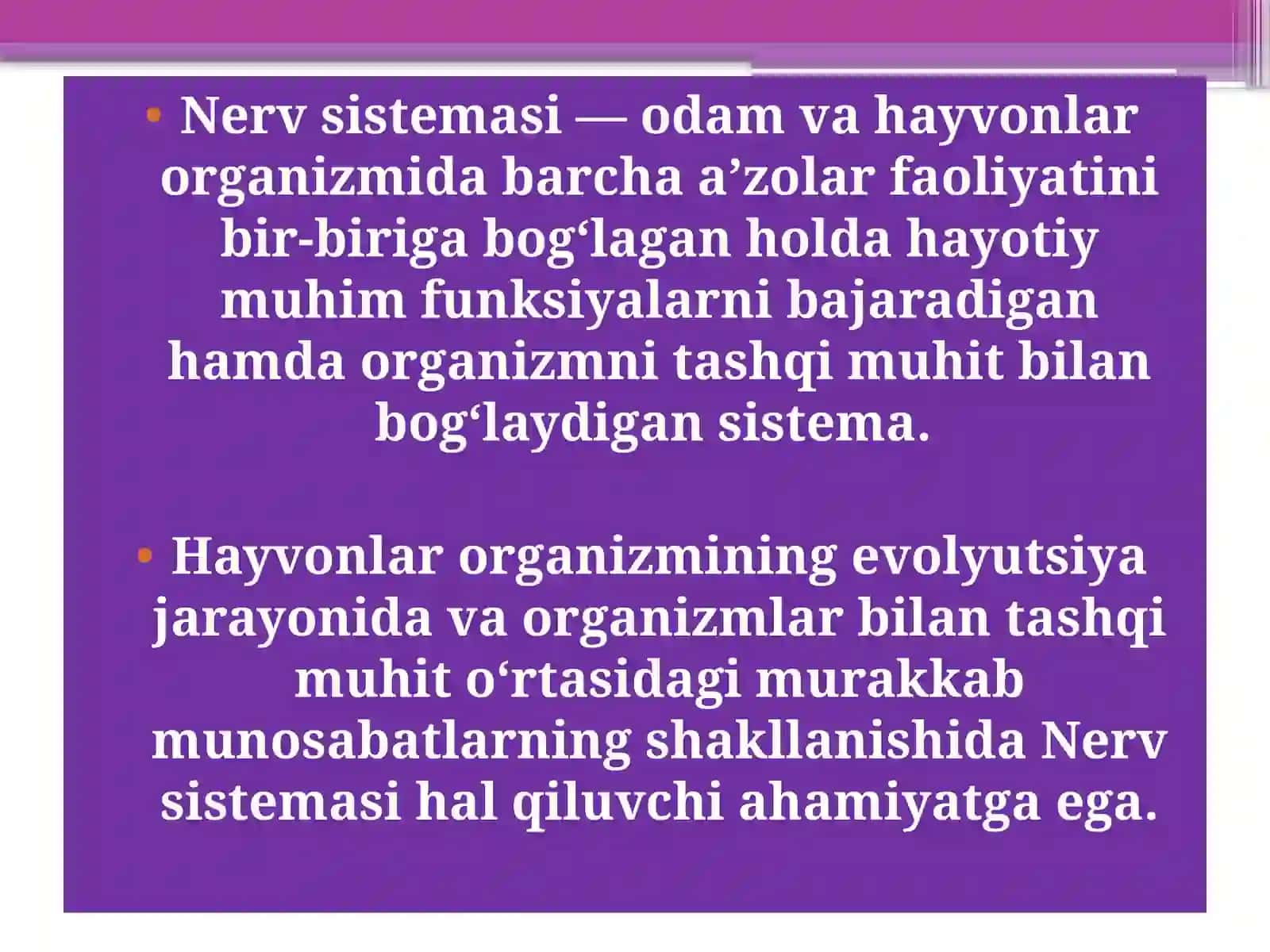 Nerv sistemasi 2