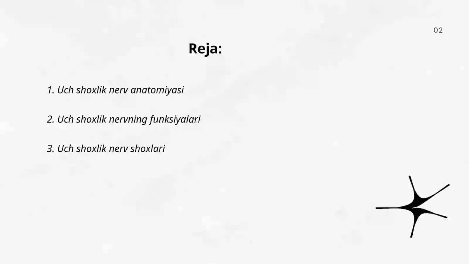 Uch shoxlik nerv 2