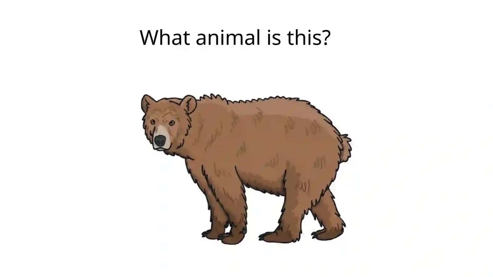 Coloursand animals 2