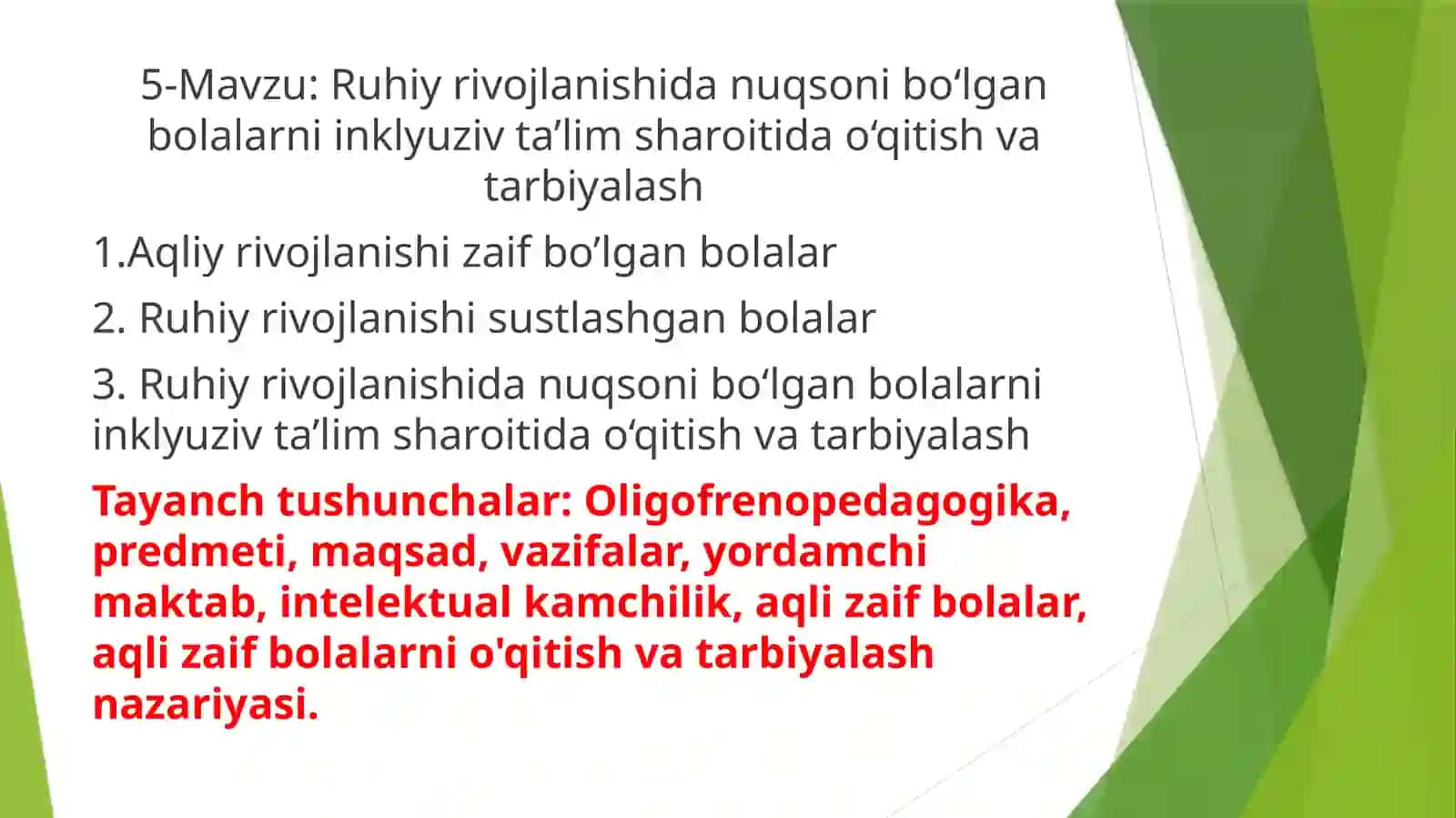 Ruhiy rivojlanishidan nuqsoni bo'lgan bolalarni inklyuziv ta'lim sharoiti 2