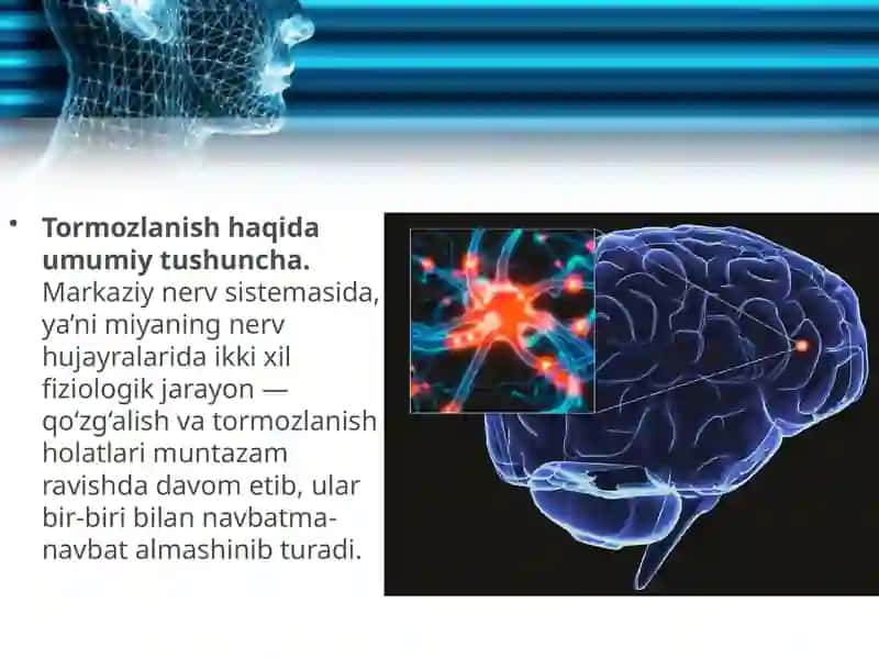 Markaziy nerv sistema tormozlanishi 2