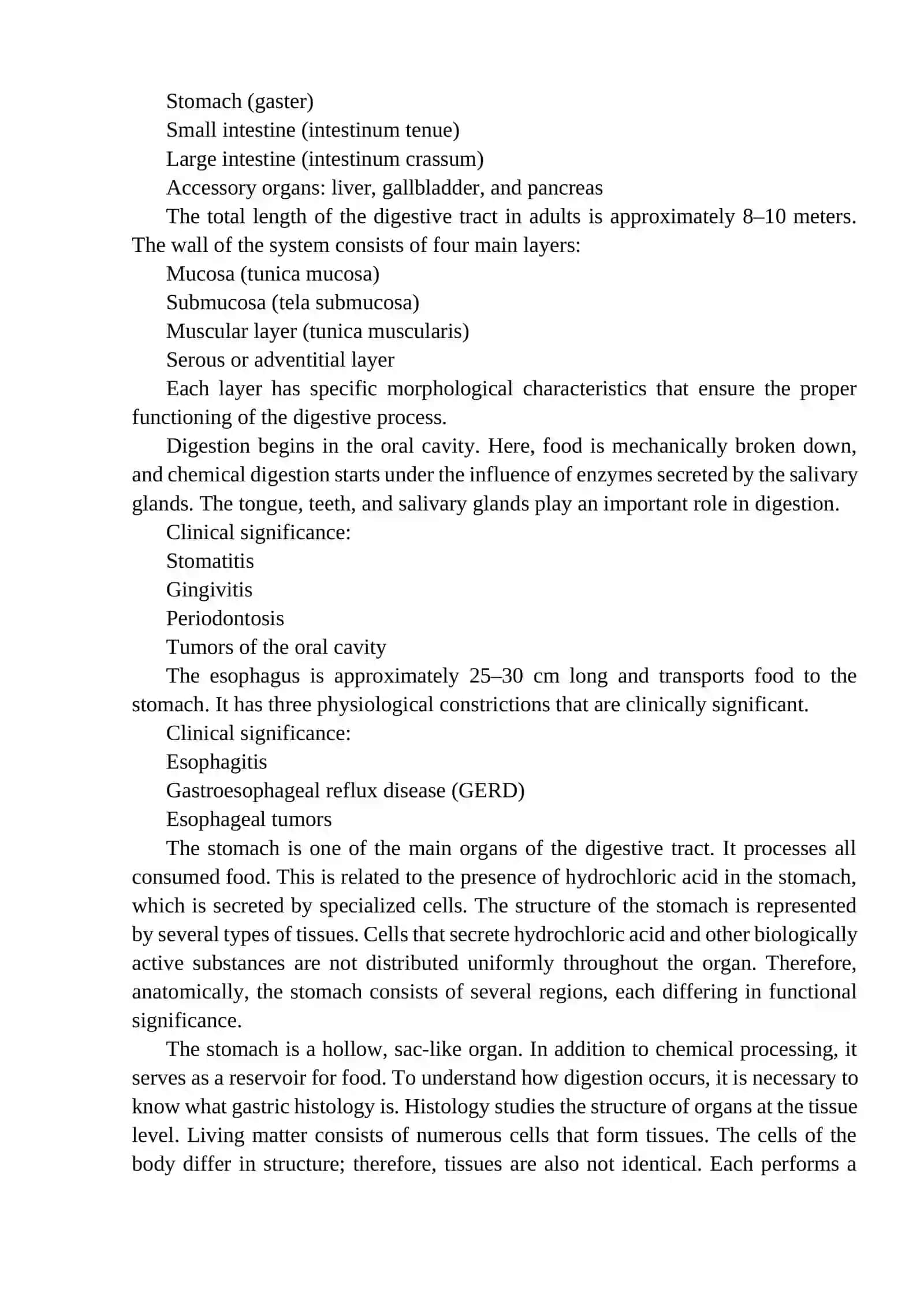 Anatomical Foundations and Clinical Significance of the Digestive System 2