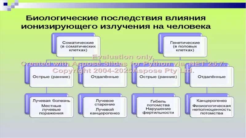 БИОЛОГИЧЕСКОЕ ДЕЙСТВИЕ ИОНИЗИРУЮЩЕГО ИЗЛУЧЕНИЯ 2