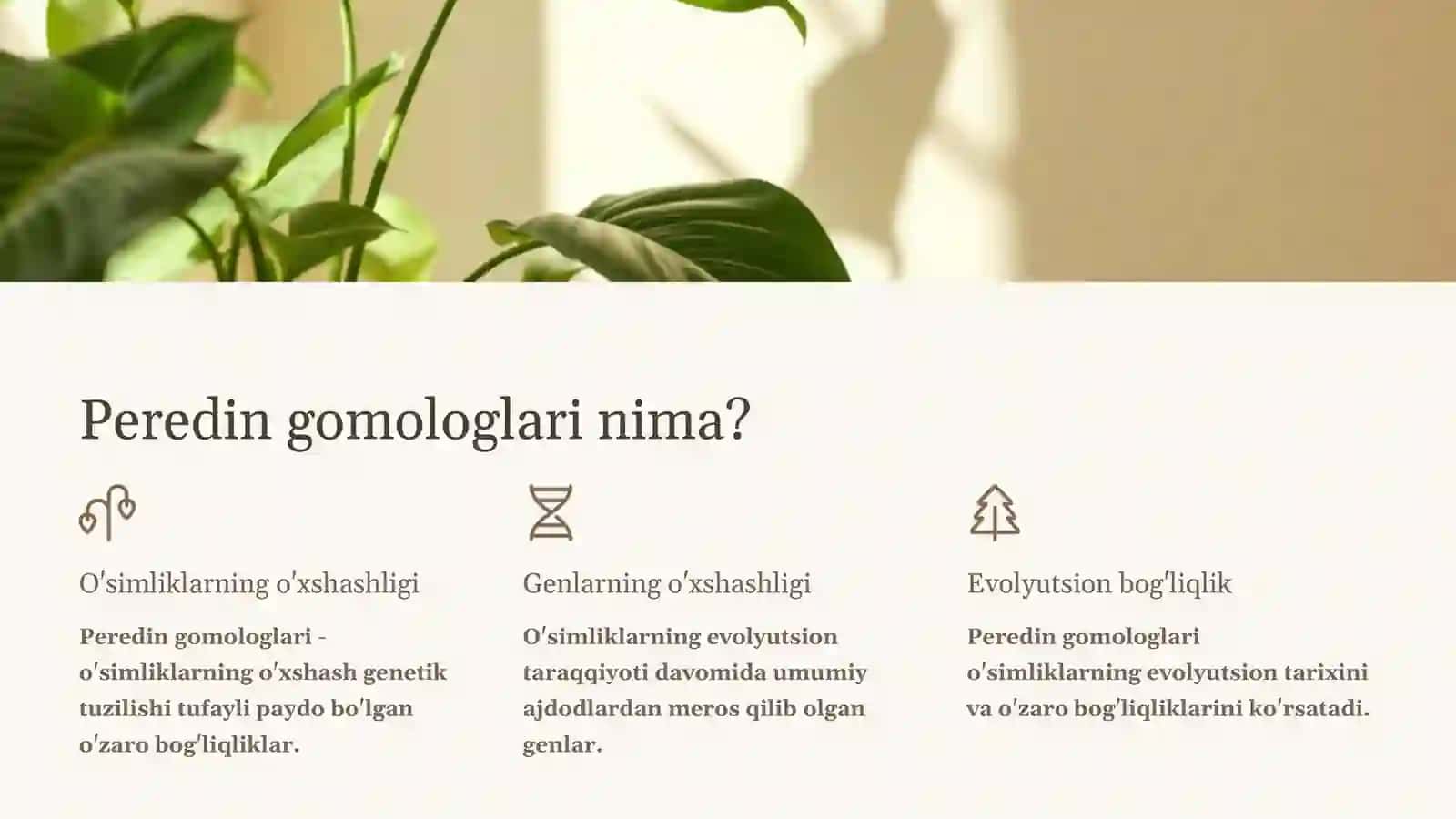 Peredin Gomoloklari 2