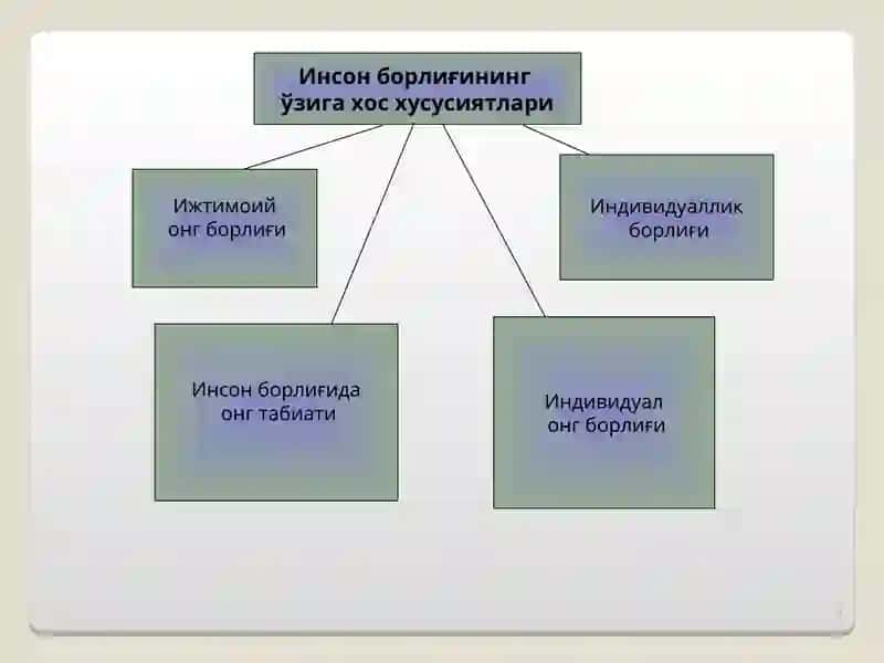 Инсон борлиғи 2