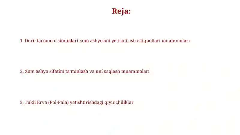 Tukli erva (Pol-pola) dorivor oʻsimliklar hom-ashyosini ishlab chiqarish istiqbollari muommolari 2