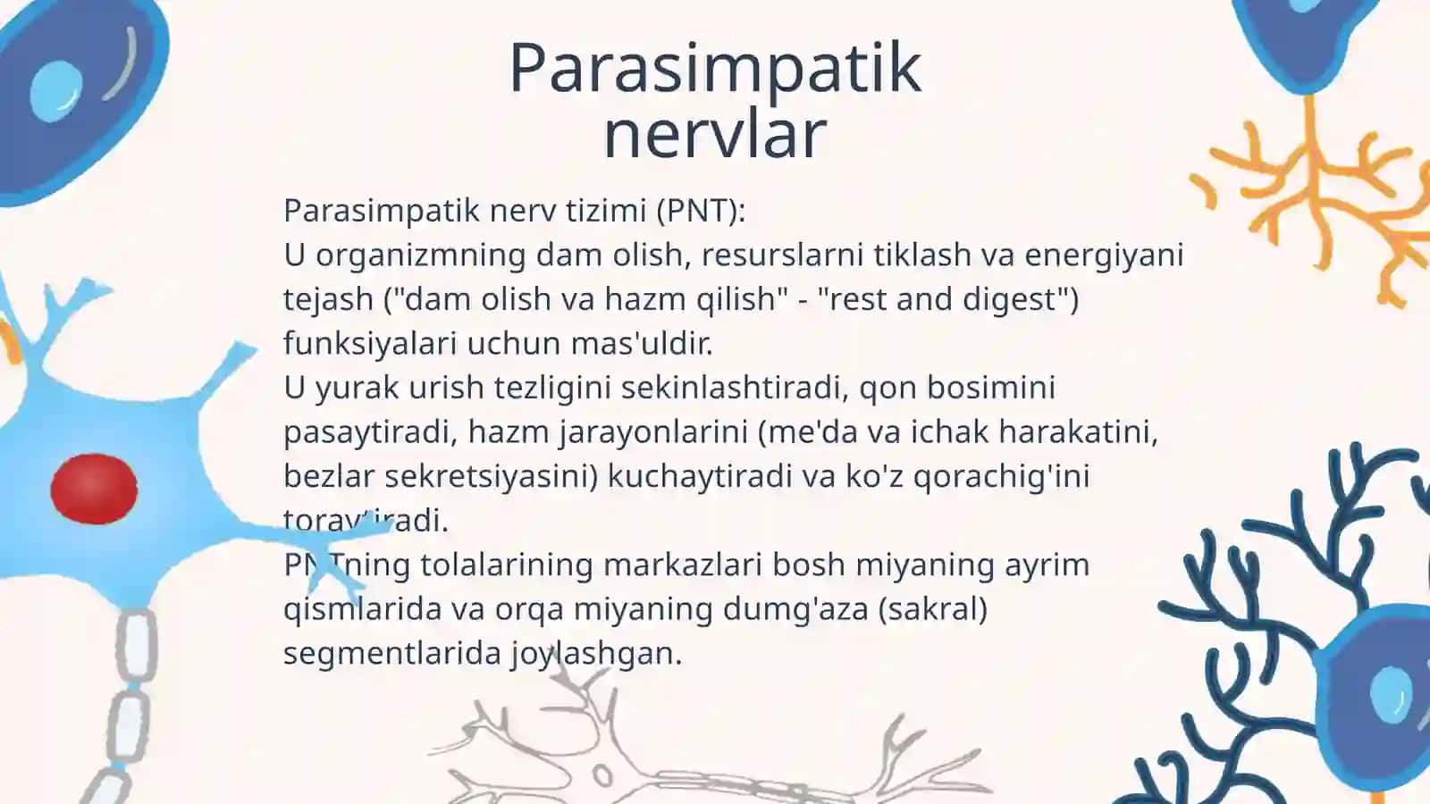 Parasimpatik nerv tizimi (PNT) 2