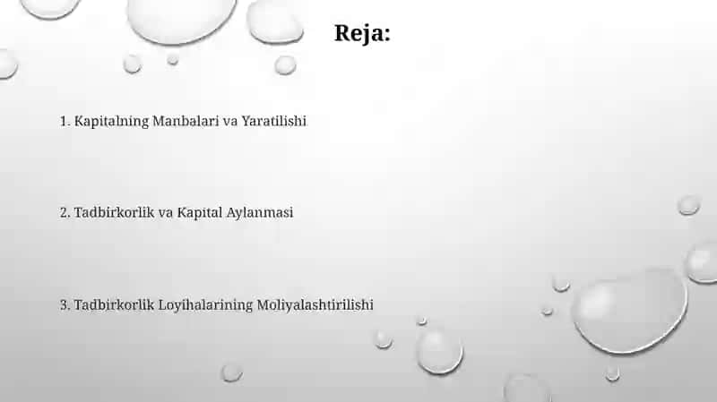 Tadbirkorlik va kapitalning aylanishi 2