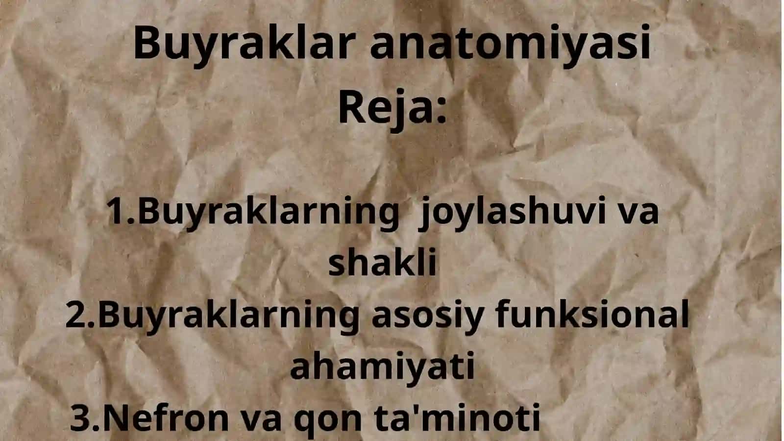 Buyraklar anatomiyasi 2