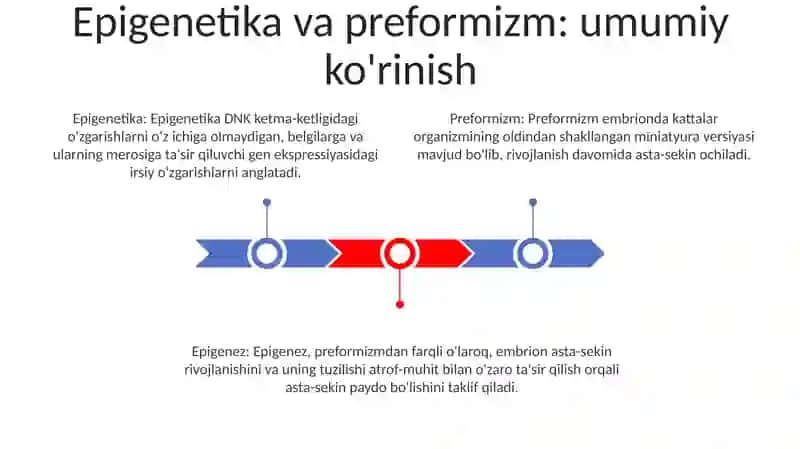 Epigenez Va Preformizm Oqimlari 2