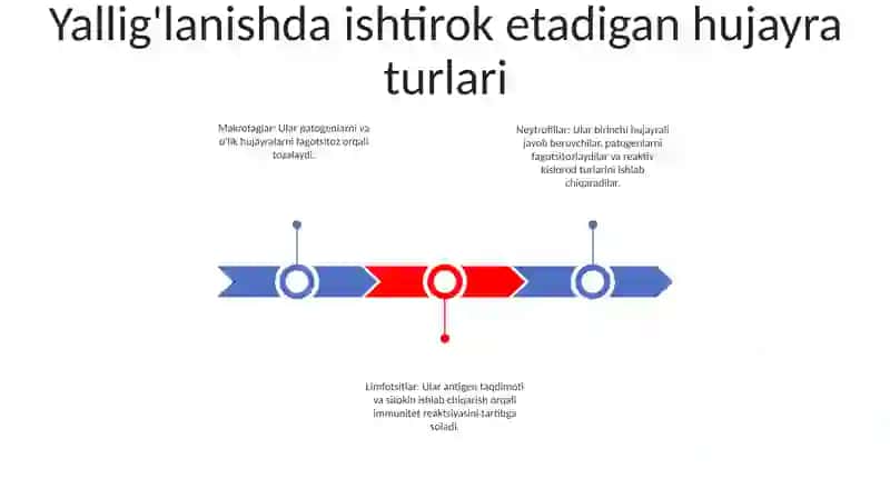 Yaliglanish Reaksiyasi Paytida Hujayralarning Ozaro Tasiri 2