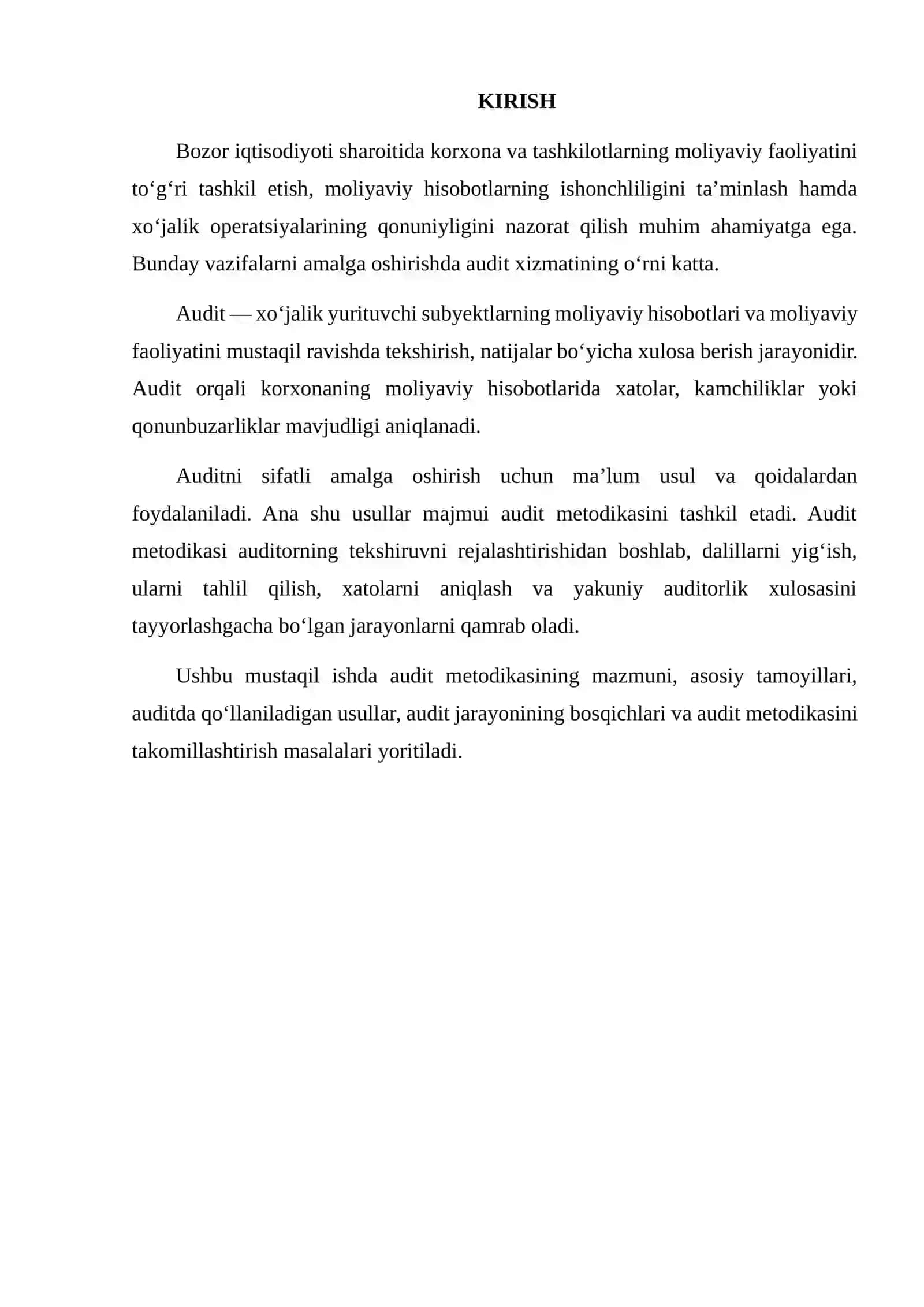 AUDIT METODIKASI 2