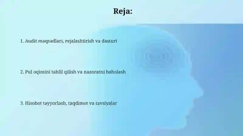 Auditning Maqsadlari va Doirasi 2