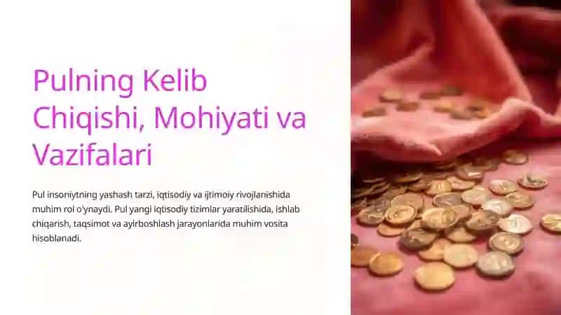 Pulning Kelib Chiqishi, Mohiyati va Vazifalari 2