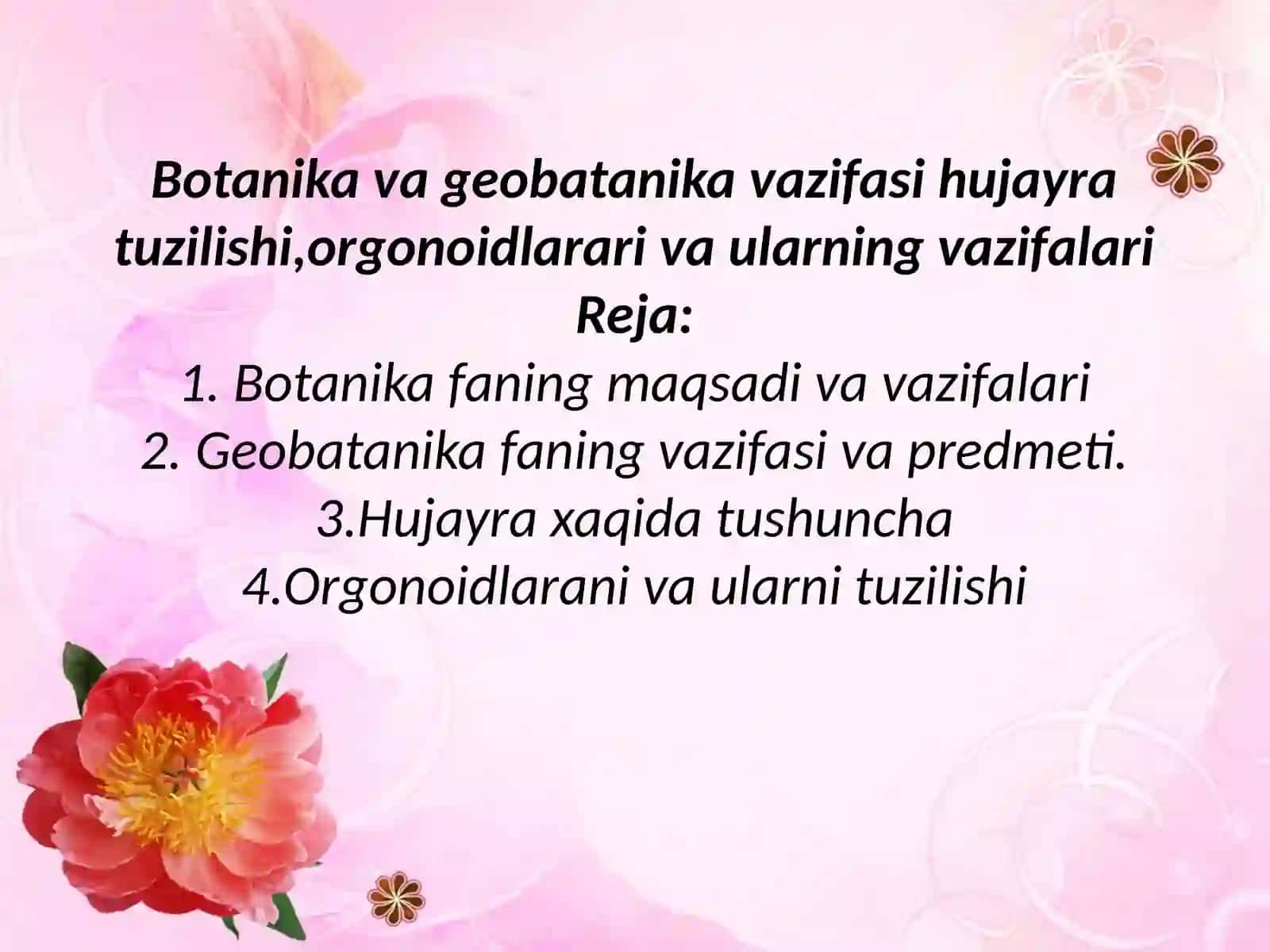 Botanika va geobotanika asoslari 2