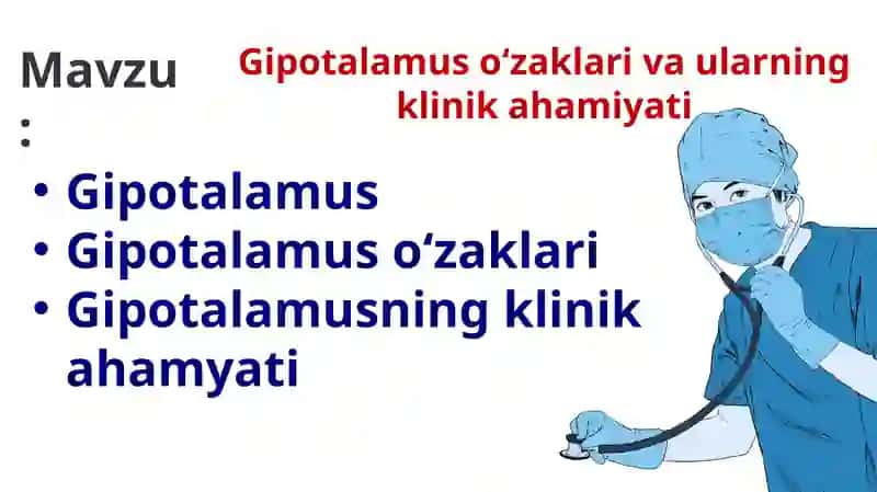 Gipotalamus oʻzaklari va ularning klinik ahamiyati 2