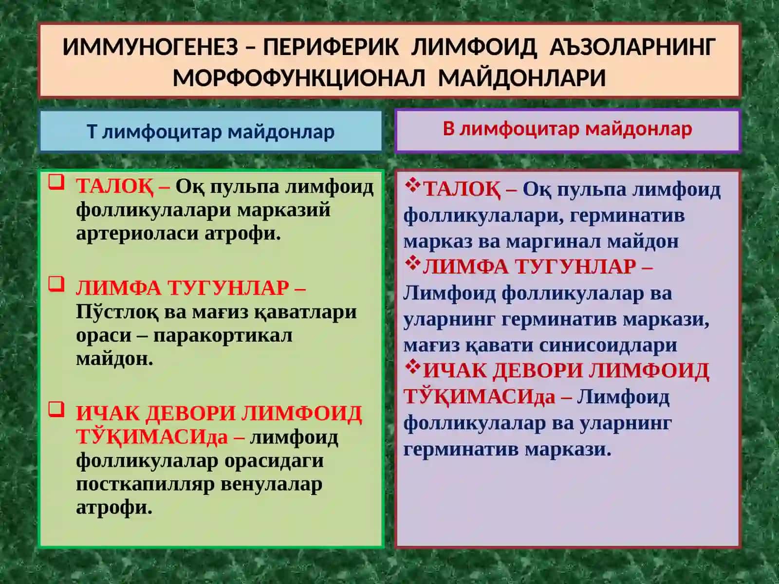 ИММУНОГЕНЕЗНИНГ СХЕМАТИК ТАСВИРИ 2