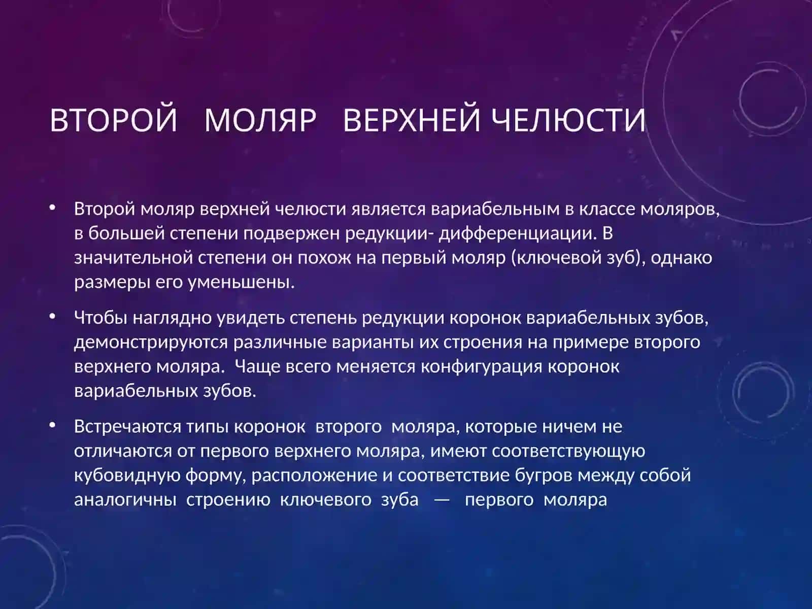 Анатомия верхних моляров 2