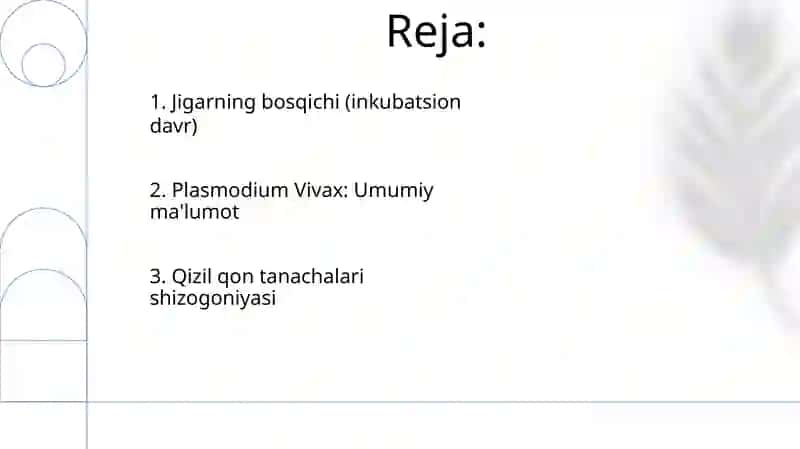Plasmodium Vivax (Rivojlanish sikli Inkubasion davri Eritrositar) 2